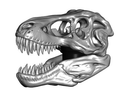 T-Rex Skull Topper ($7 Cane/Walking Hiking Sticks)