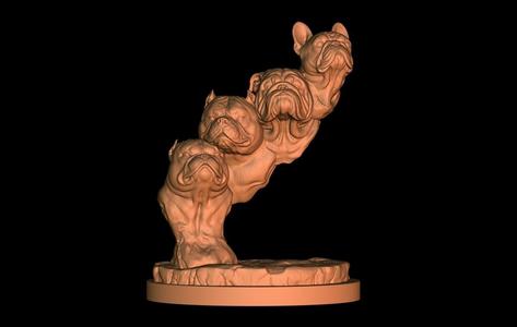 Trophy American bully, exotic, french, english, french, english