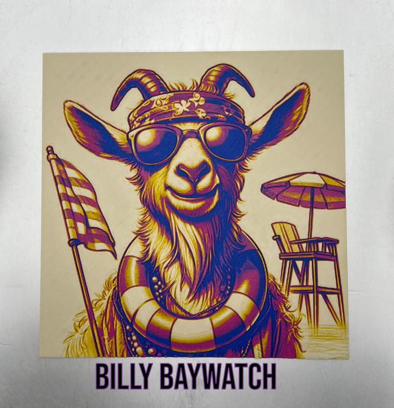 Billy Baywatch