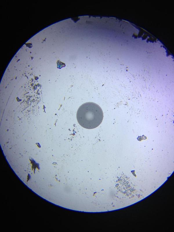 iPhone Fiber Optic Microscope adapter