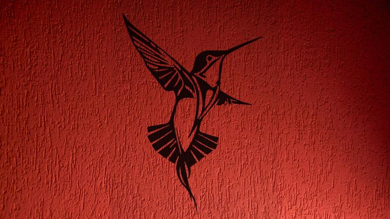 2D Beauty Bird Wall Art