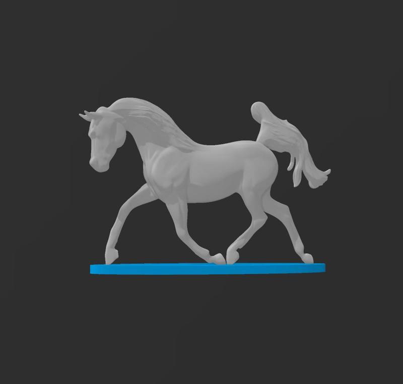 Thoroughbred Arabian Horse