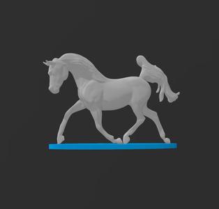 Thoroughbred Arabian Horse