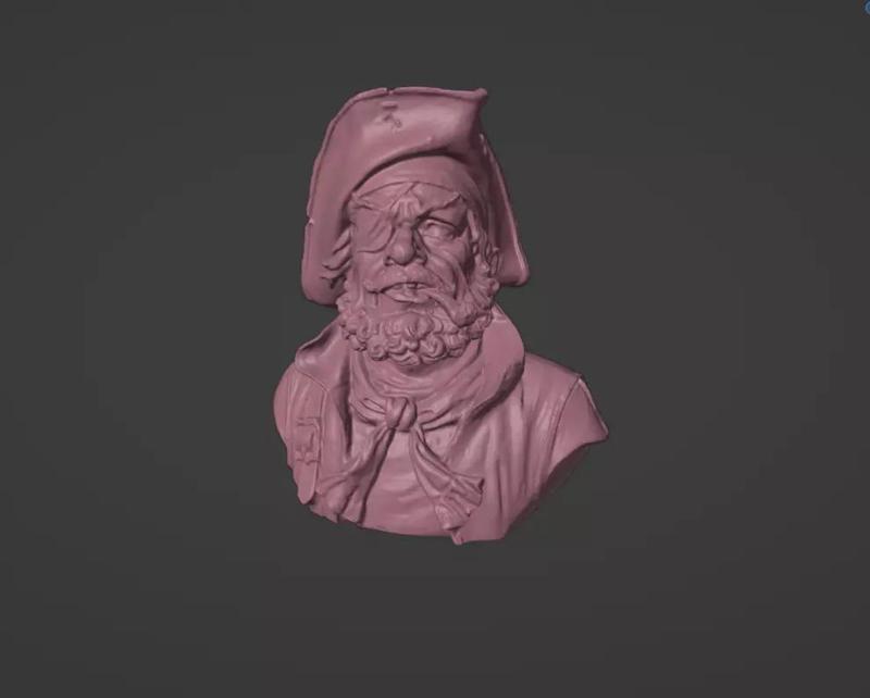 Pirate bust