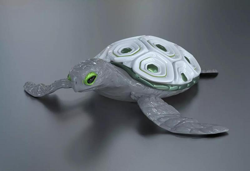 turtle