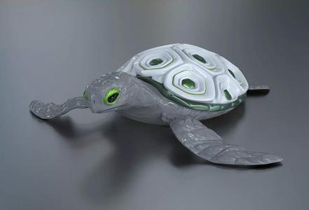 turtle