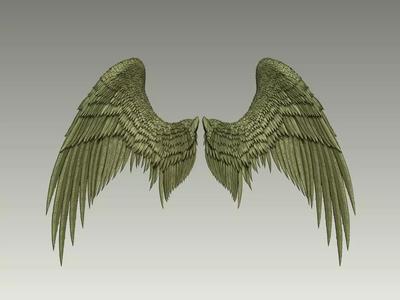 Wing Model 20