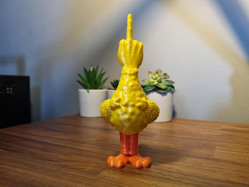 Flipping the Big Bird