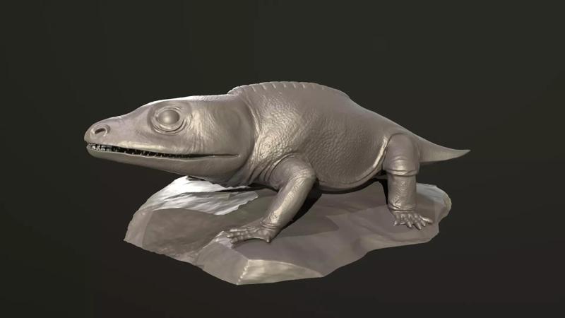 Cacops aspidephorus