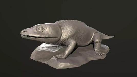 Cacops aspidephorus