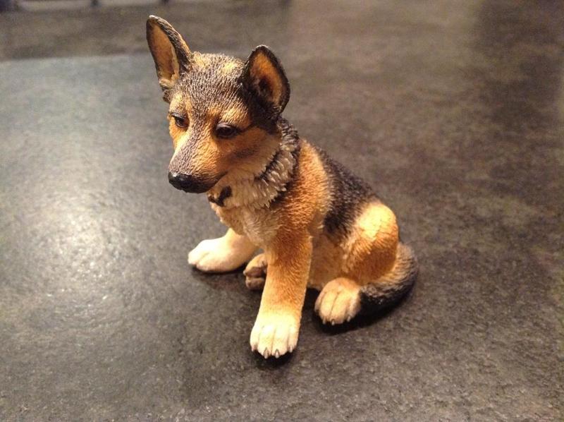 Chien, Berger Allemand (dog, German Dog)