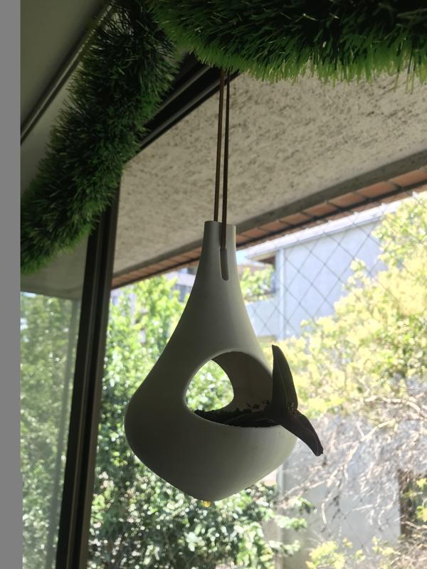 Hanging planter