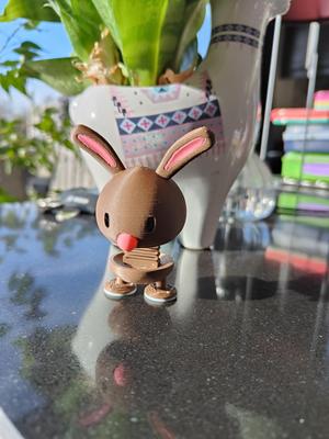 Bunny Springie