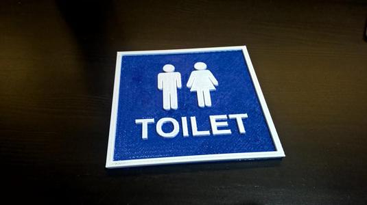 Toilet shield 