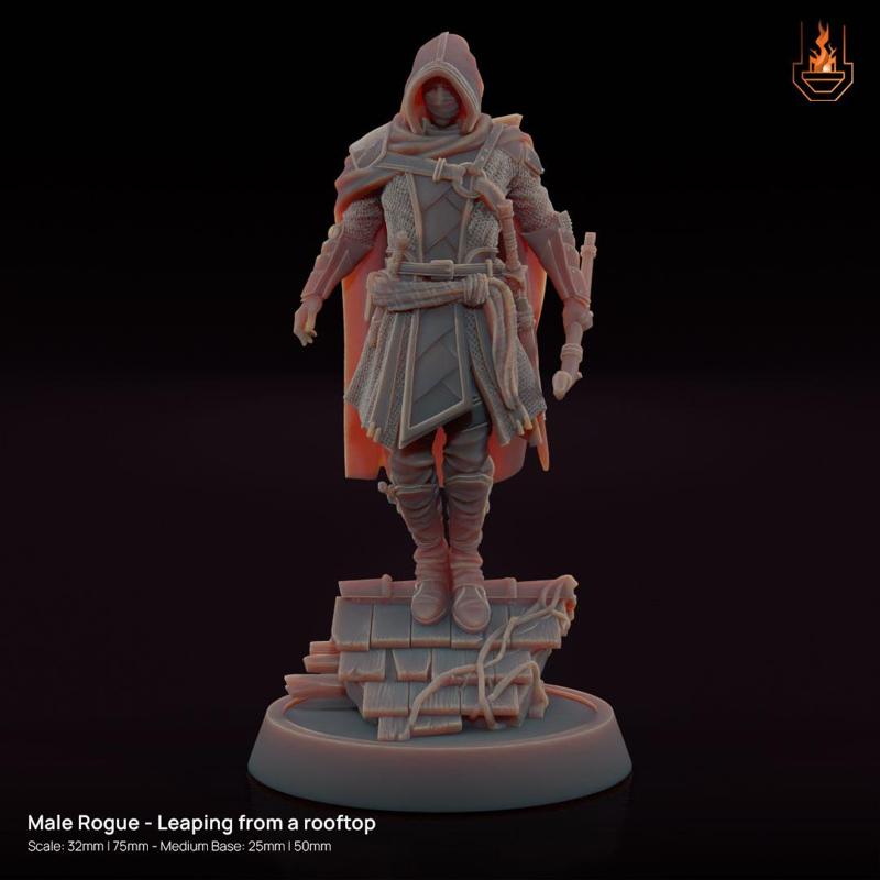 Male Rogue - Leaping from a rooftop