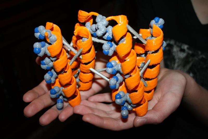 Protein Structure for PDB 3U8V