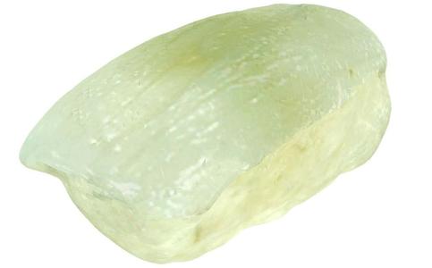 The Sushi of Squid