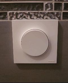 Disney Customizable Light Switch Cover