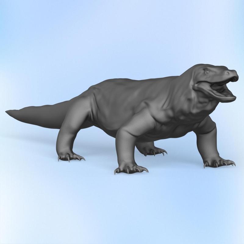 Wild Komodo Dragon