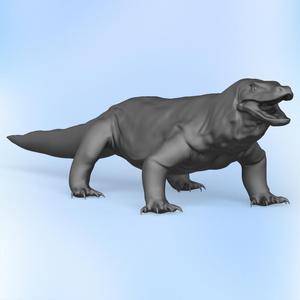 Wild Komodo Dragon