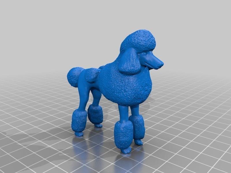プードル（Poodle）3Dデータ