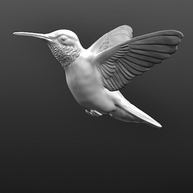 HUMMINGBIRD / BROAD TAILED