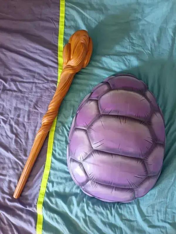 Great turtle stick