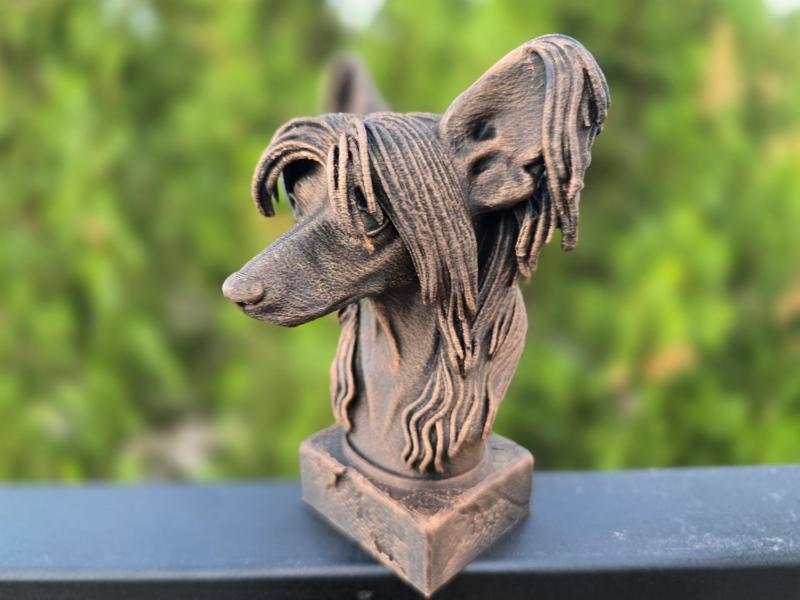 CHINESE CRESTED BUST