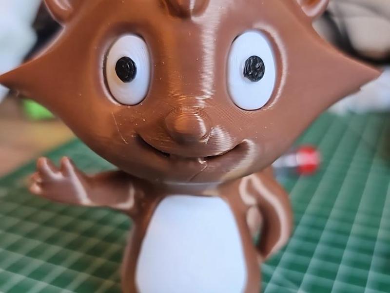 Raccoon with white belly