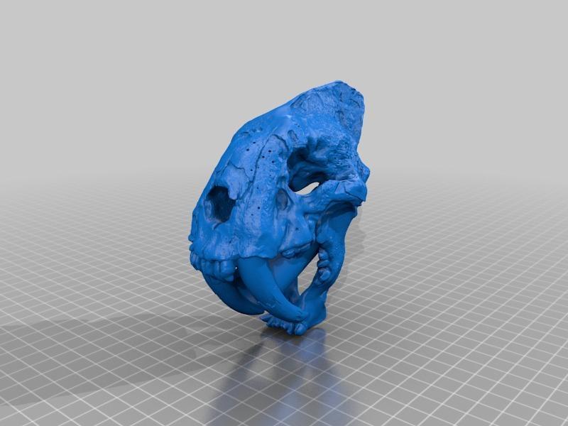 saber tooth flash hider
