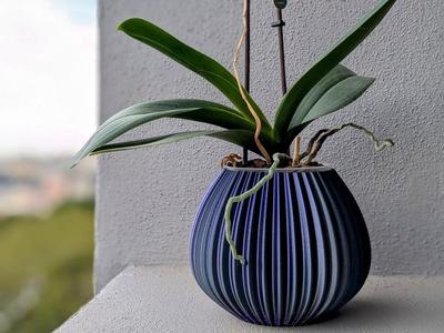 Round Plant Vase 