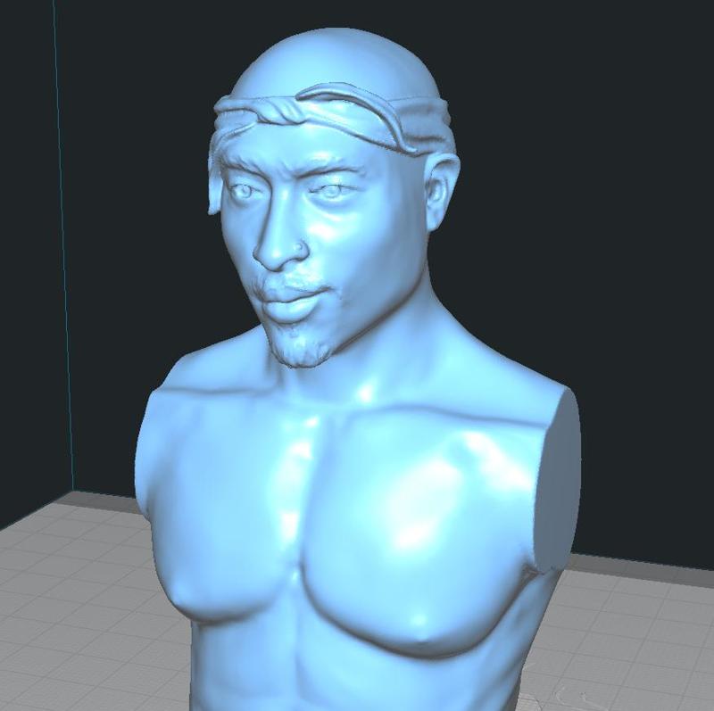 2 PAC BUST THUG LIFE