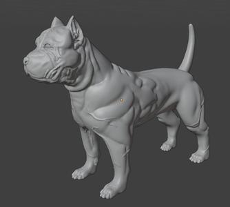 Pit bull dog