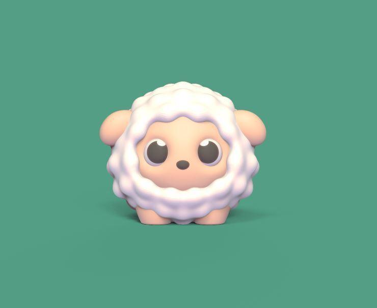 Baby Sheep