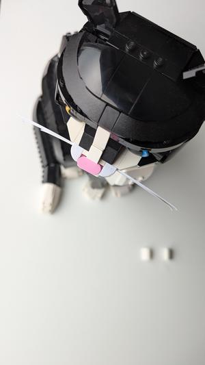Whiskers for Ideas Tuxedo Cat 21349
