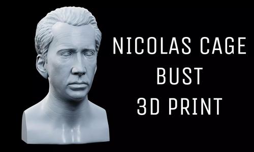 Nicolas Cage Bust
