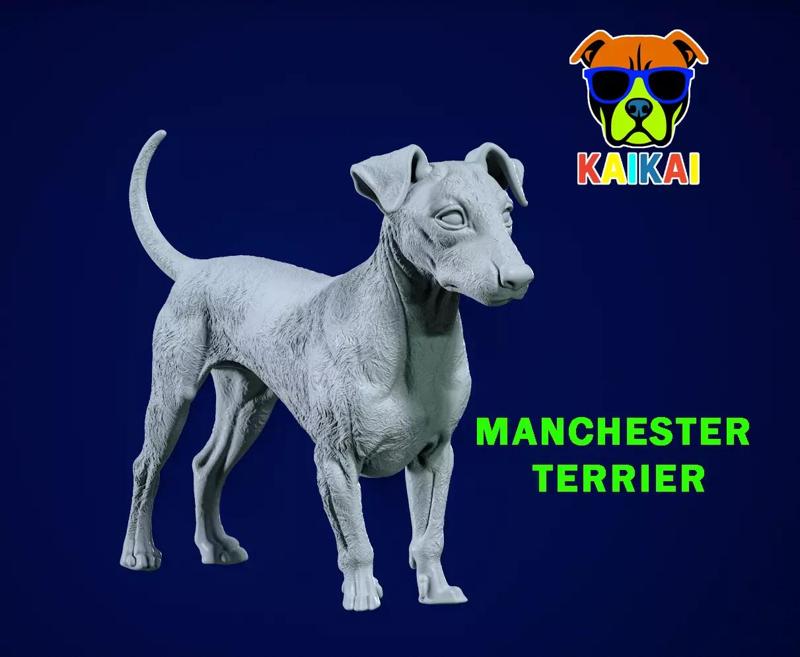 Manchester terrier Dog model - 3D print