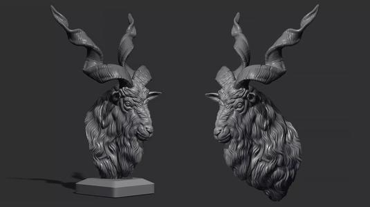 Markhor goat head