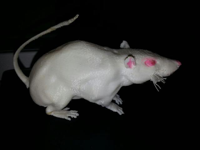 Glad-Rat