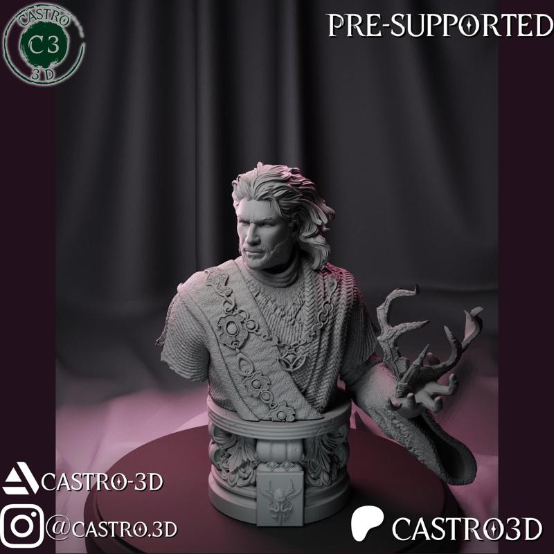Gale - The Waterdeep Mage - Baldurs Gate 3 Bust Collection 3D print model