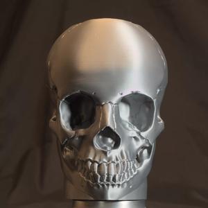 Skull Can Holder 50cl Gothic Edition