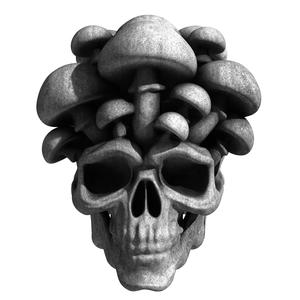 Mushroom Skull