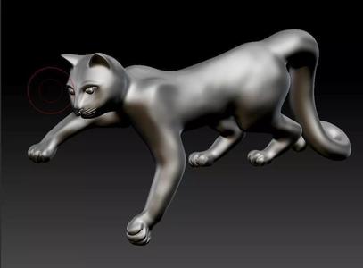 Jumping Cat