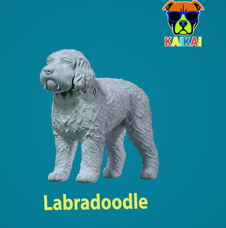 Labradoodle Dog statue - decor - 3D print
