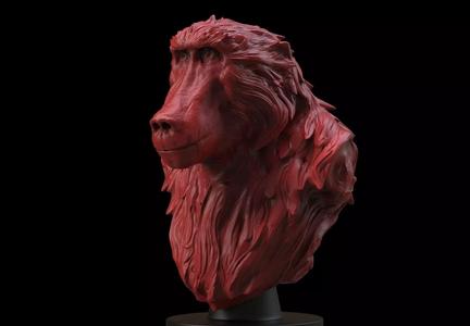 Baboon Bust