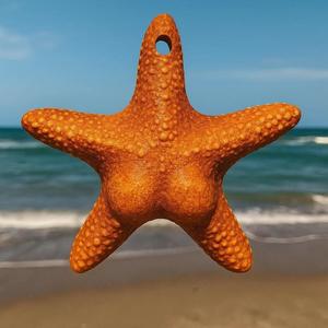 Estrella Culona de CONICET (Llavero)
