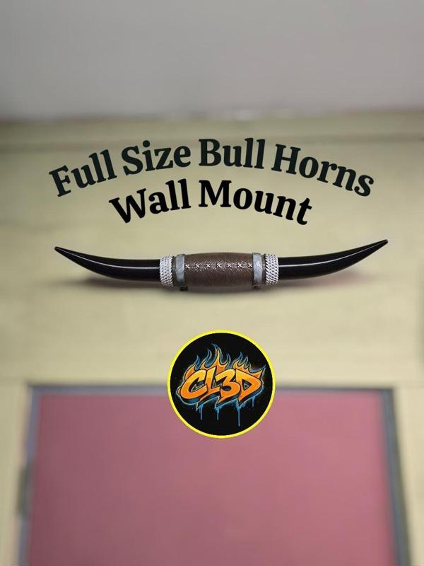 Bull Horns - Full Size Wall Hanger
