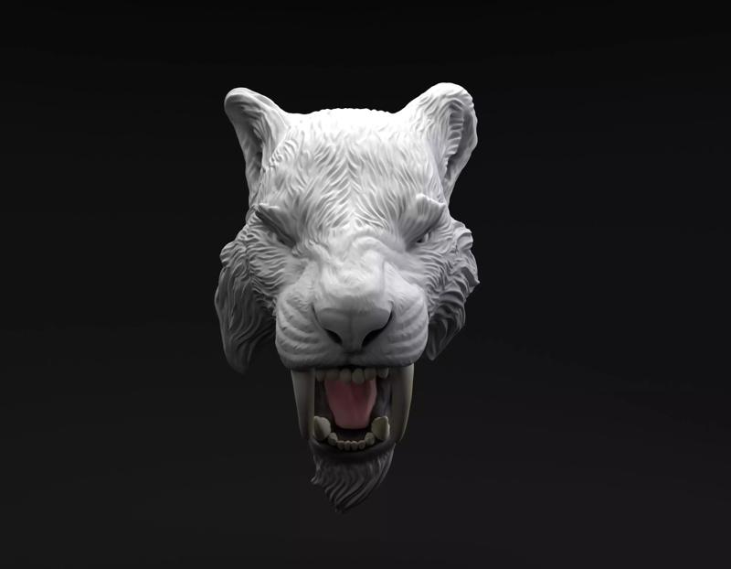Smilodon Sabertooth tiger head intended for 3D printing
