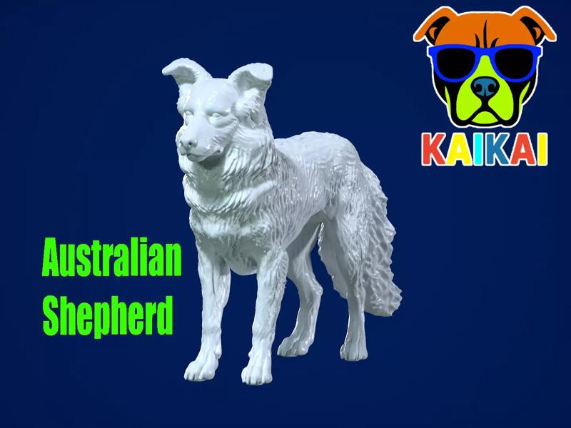 The Australian Shepherd - Australian Berger model - 3D print