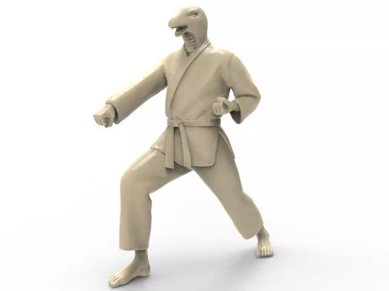 Snake Zenkutsu Dachi Stance